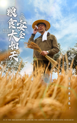 粮食安全大如天(43集) 粮食安全大如天(43集) 全部免费看全集