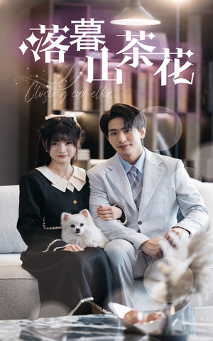 落幕山茶花(50集) 落幕山茶花(50集) 爆款热门短剧