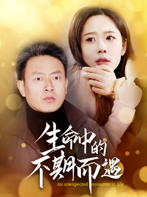 生命中的不期而遇（35集） 全集都在这里了