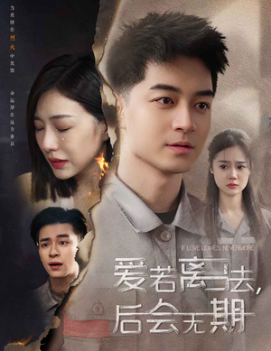 爱若离去,后会无期(70集) 爱若离去,后会无期(70集)超火热门短剧