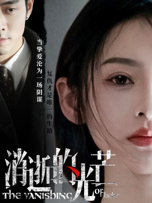 消逝的光芒（55集） 最后的大结局