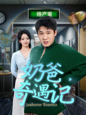 奶爸奇遇记（60集） 在线观看全集