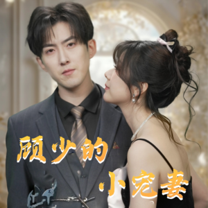 顾少的小宠妻（90集）短剧全集完整版