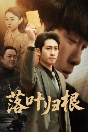 认祖归宗（35集） 好看的短剧推荐