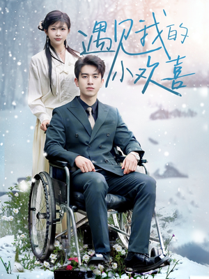 遇见我的小欢喜（70集） 最热短剧抢先看