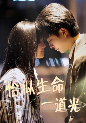 恰似生命一道光（60集） 一口气看完