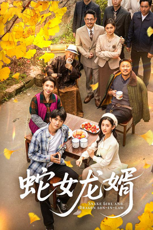 不负韶华不负卿(52集) 不负韶华不负卿(52集) 在线观看