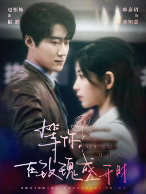 等你在玫瑰盛开时（80集） 短视频追剧推荐