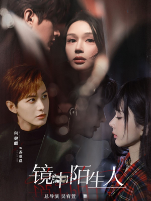 镜中陌生人（54集） 剧情简介