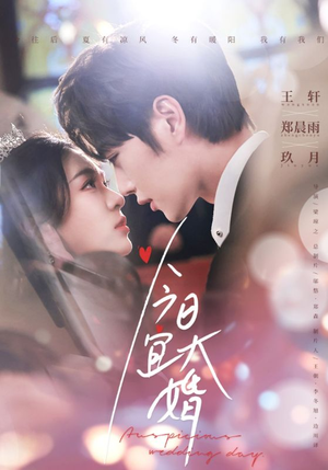 今日宜大婚(59集) 今日宜大婚(59集) 全集免费看短剧