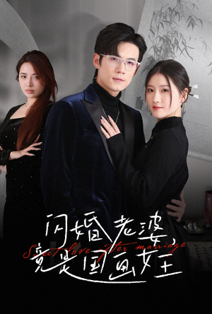 闪婚老婆竟是国画女王（65集） 演员表