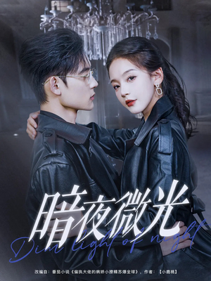 暗夜微光（86集）短剧看全集