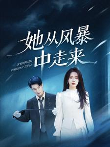 她从风暴中走来(60集) 她从风暴中走来(60集)超好看古装短剧