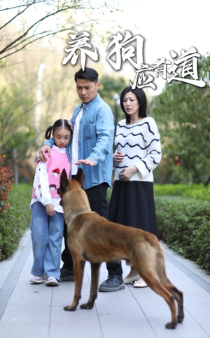 养狗应有道(60集) 养狗应有道(60集)一共多少集