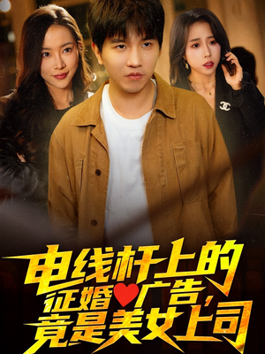 电线杆上的征婚广告，竟是美女上司（90集）短剧视频分享