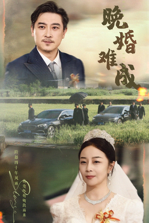 晚婚难成（60集）爆款短剧追不停