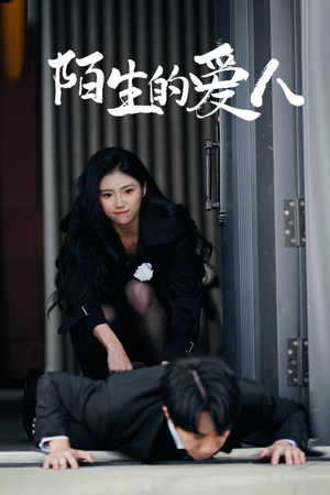 陌生的爱人(60集) 陌生的爱人(60集)短剧上头又好看