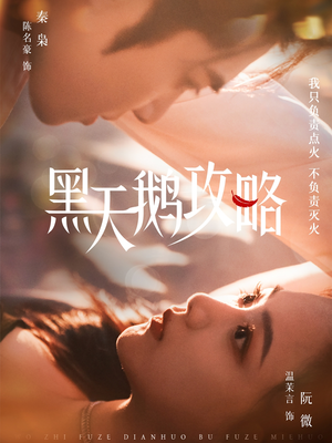 黑天鹅攻略（65集）全集一次看完