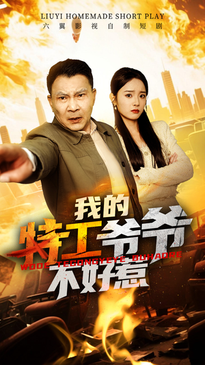 我的特工爷爷不好惹（68集）短剧演员排行榜