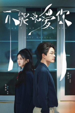 不能说爱你(64集) 不能说爱你(64集)短剧追到爽