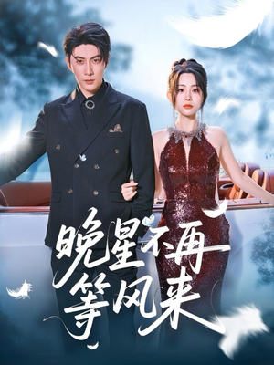 晚星不再等风来(65集) 晚星不再等风来(65集)观看软件