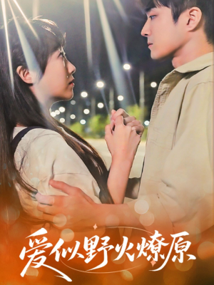 爱似野火燎原(47集) 爱似野火燎原(47集)最火爆短剧