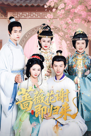 蔷薇花谢即归来（61集）短剧免费看