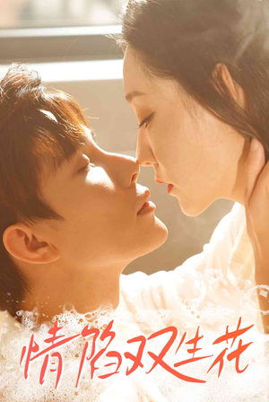 情陷双生花（30集）精彩短剧来了