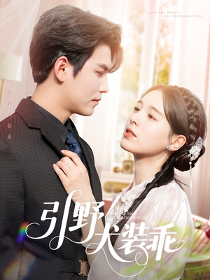 引野犬装乖(61集) 引野犬装乖(61集)迅雷网盘观看