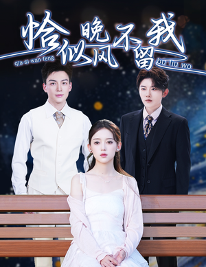 恰似晚风不留我（51集）最新短剧推荐