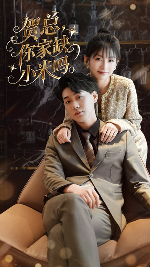 贺总你家缺小米吗（60集）直接追到结尾