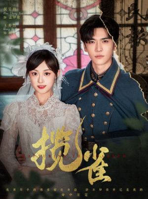 揽雀(61集) 揽雀(61集)好看的国产短剧