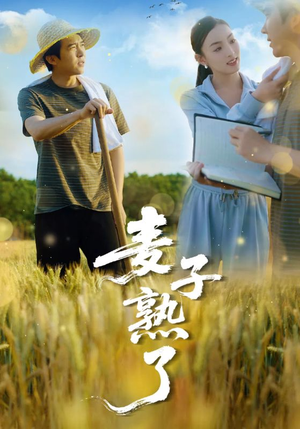 麦子熟了(52集) 麦子熟了(52集)热播短剧推荐