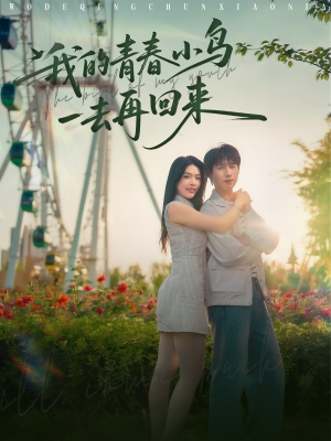 我的青春小鸟一去再回来(95集) 我的青春小鸟一去再回来(95集)短剧热门推荐