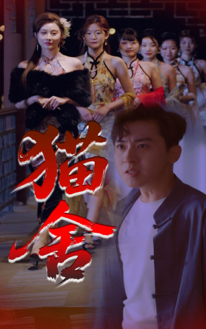 猫舍（34集）全网短剧抢先看