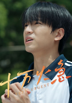 十万火急（30集）口碑爆棚免费看