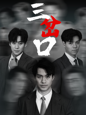 三岔口(62集) 三岔口(62集)直接追到结尾