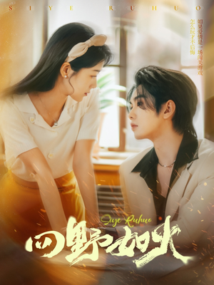 四野如火（79集）百度网盘资源