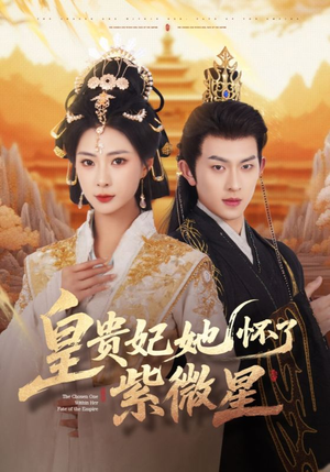 皇贵妃她怀了紫薇星（80集）在线观看
