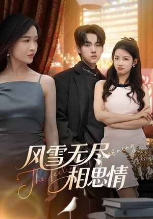 风雪无尽相思情(61集) 风雪无尽相思情(61集)精彩片段