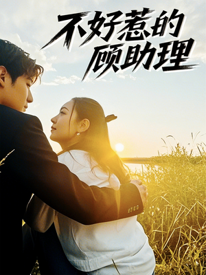 不好惹的顾助理（67集）UC网盘在线看