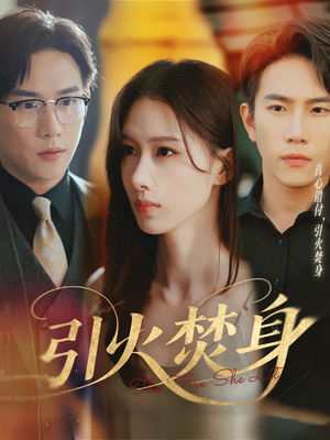 引火焚身(61集) 引火焚身(61集)全集我都看完了