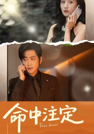 命中注定（33集）温柔追捕短剧