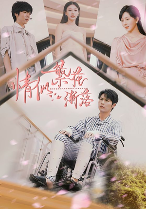 情似繁花渐落（62集）一口气追完短剧