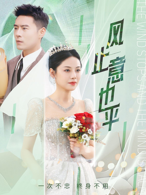 风止意也平(41集) 风止意也平(41集)男频短剧推荐