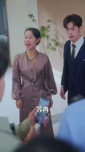 雾散风不停(60集) 雾散风不停(60集)常回家看看短剧