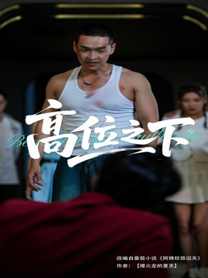 高位之下(65集) 高位之下(65集)精彩短剧看全集