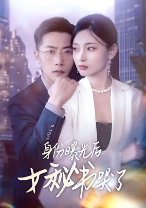 身份曝光后女秘书哭了（31集）在哪个平台看好