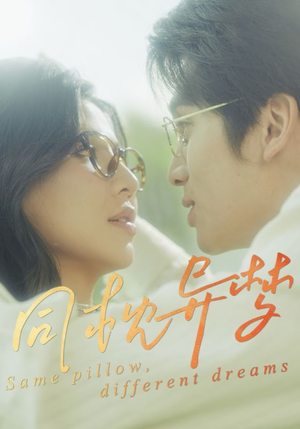 同枕异梦(50集) 同枕异梦(50集)短剧上热门