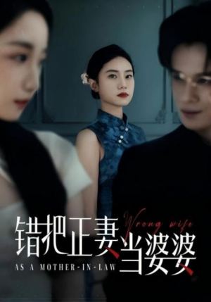 错把正妻当婆婆(46集) 错把正妻当婆婆(46集)高分佳作免费看